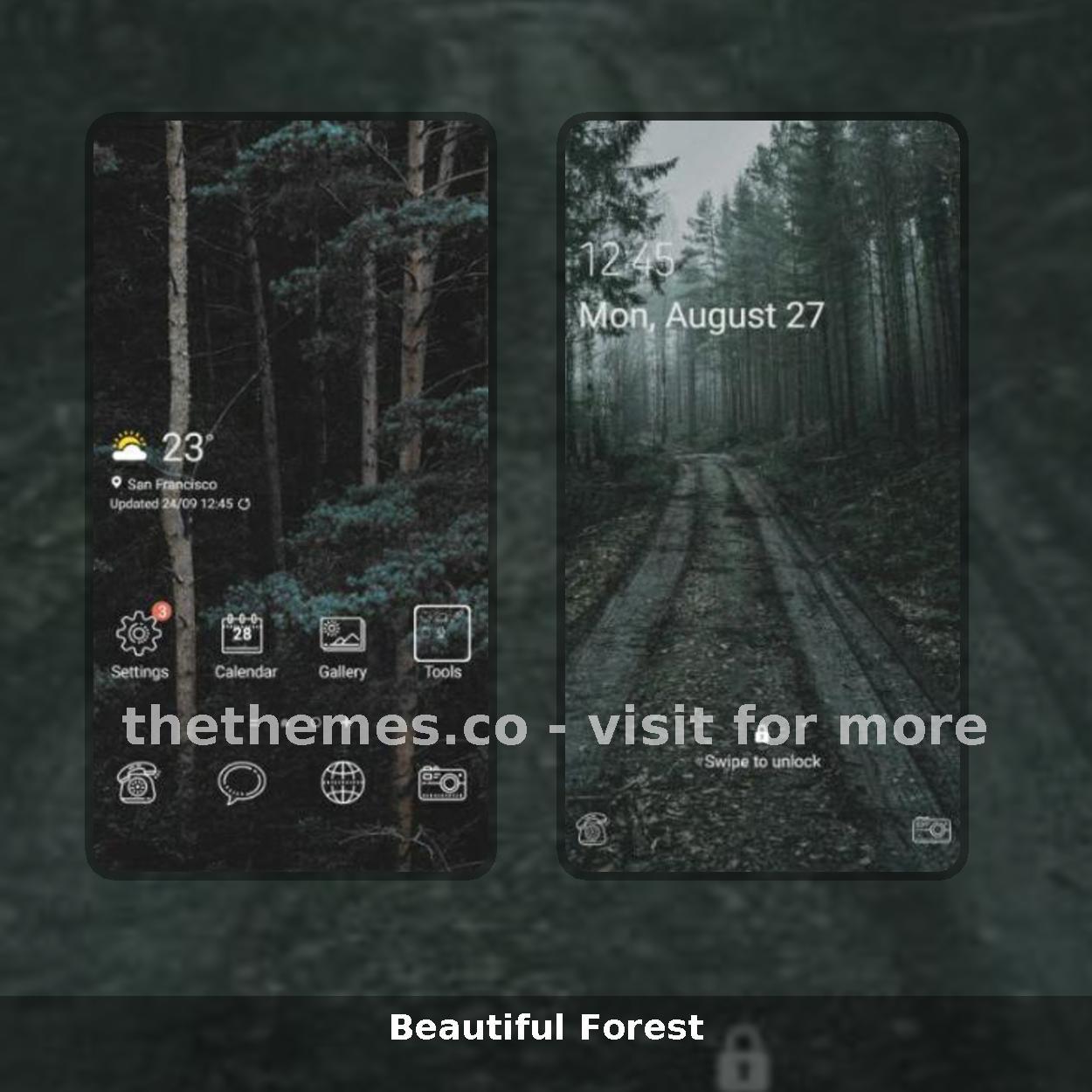 Beautiful Forest