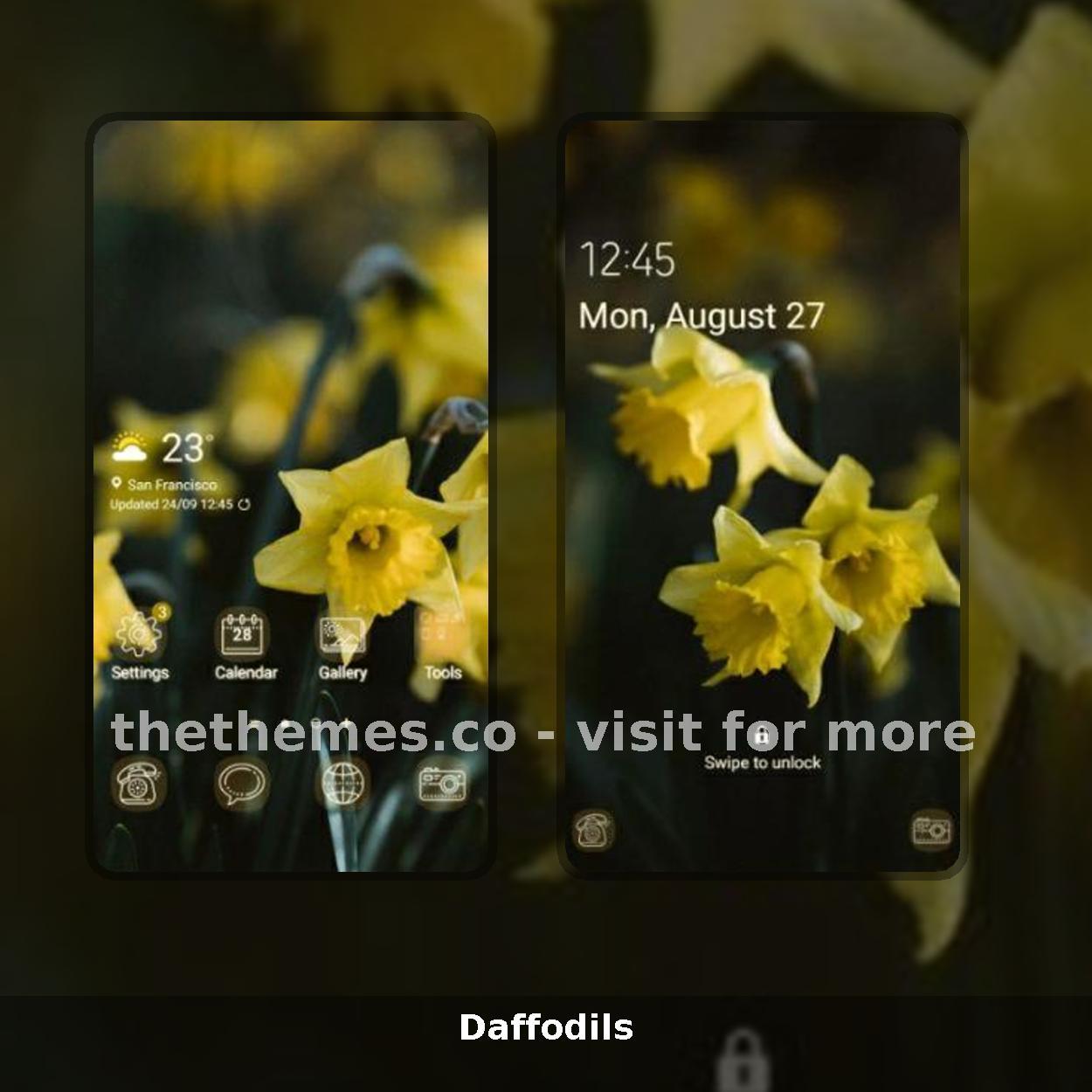 Daffodils