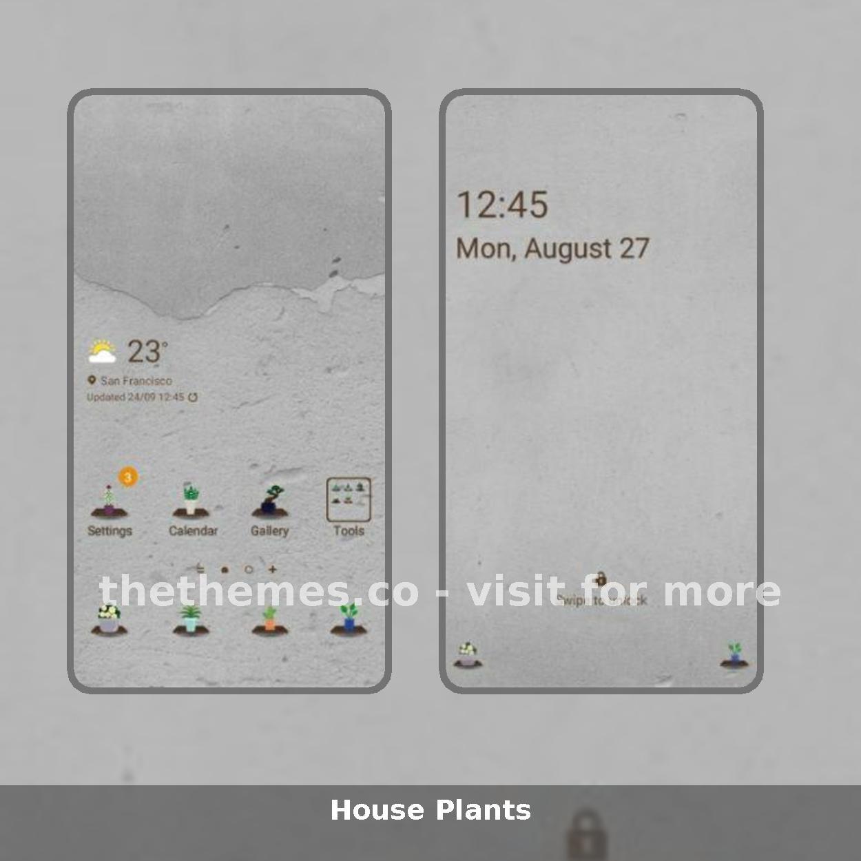 House Plants