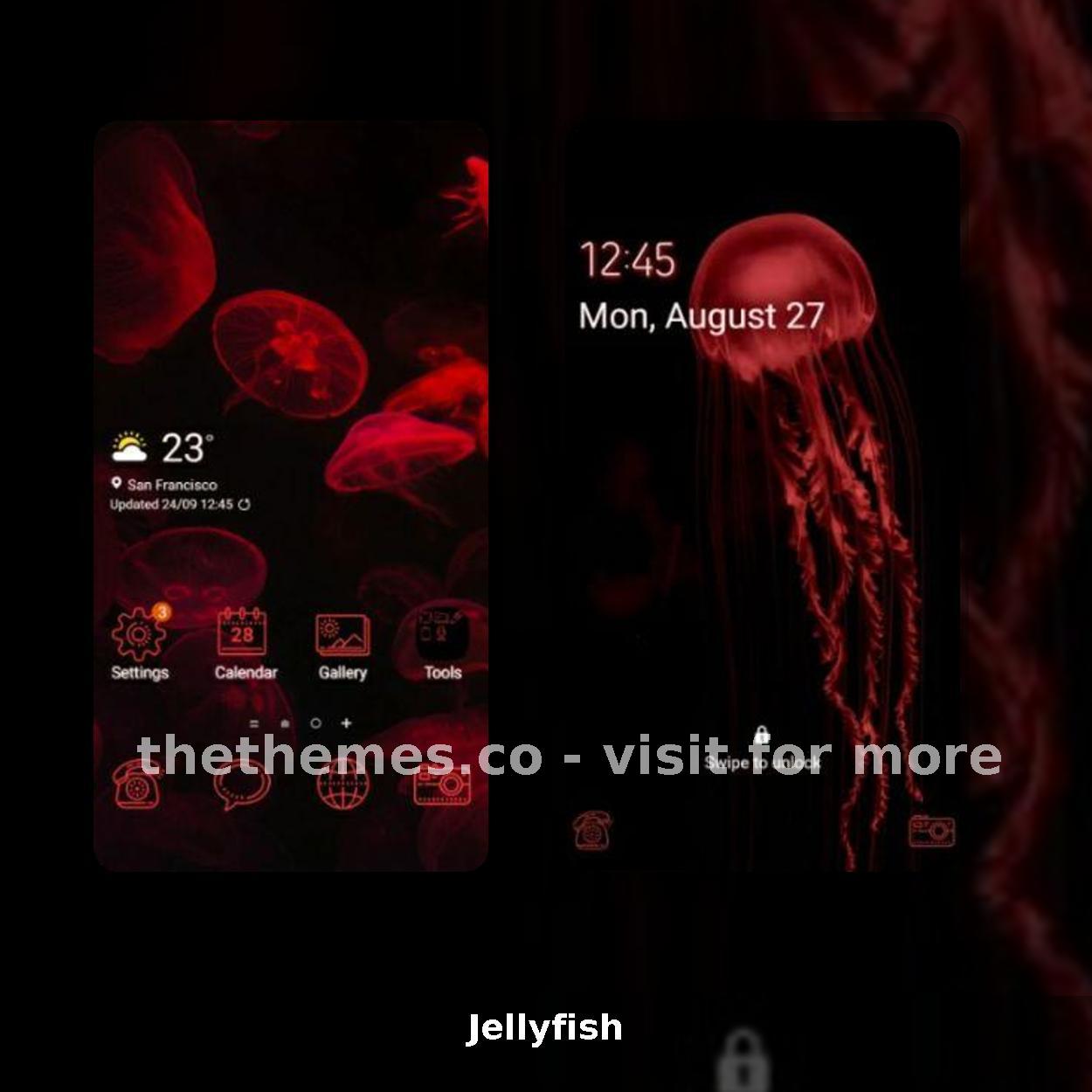 Jellyfish