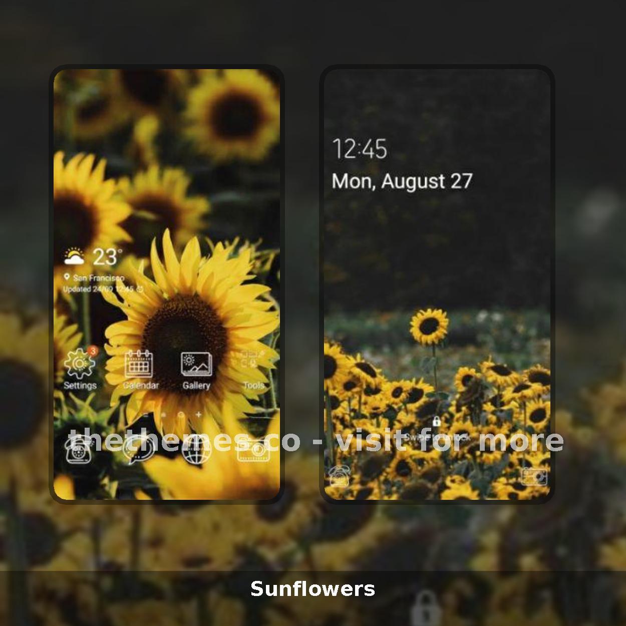 Sunflowers