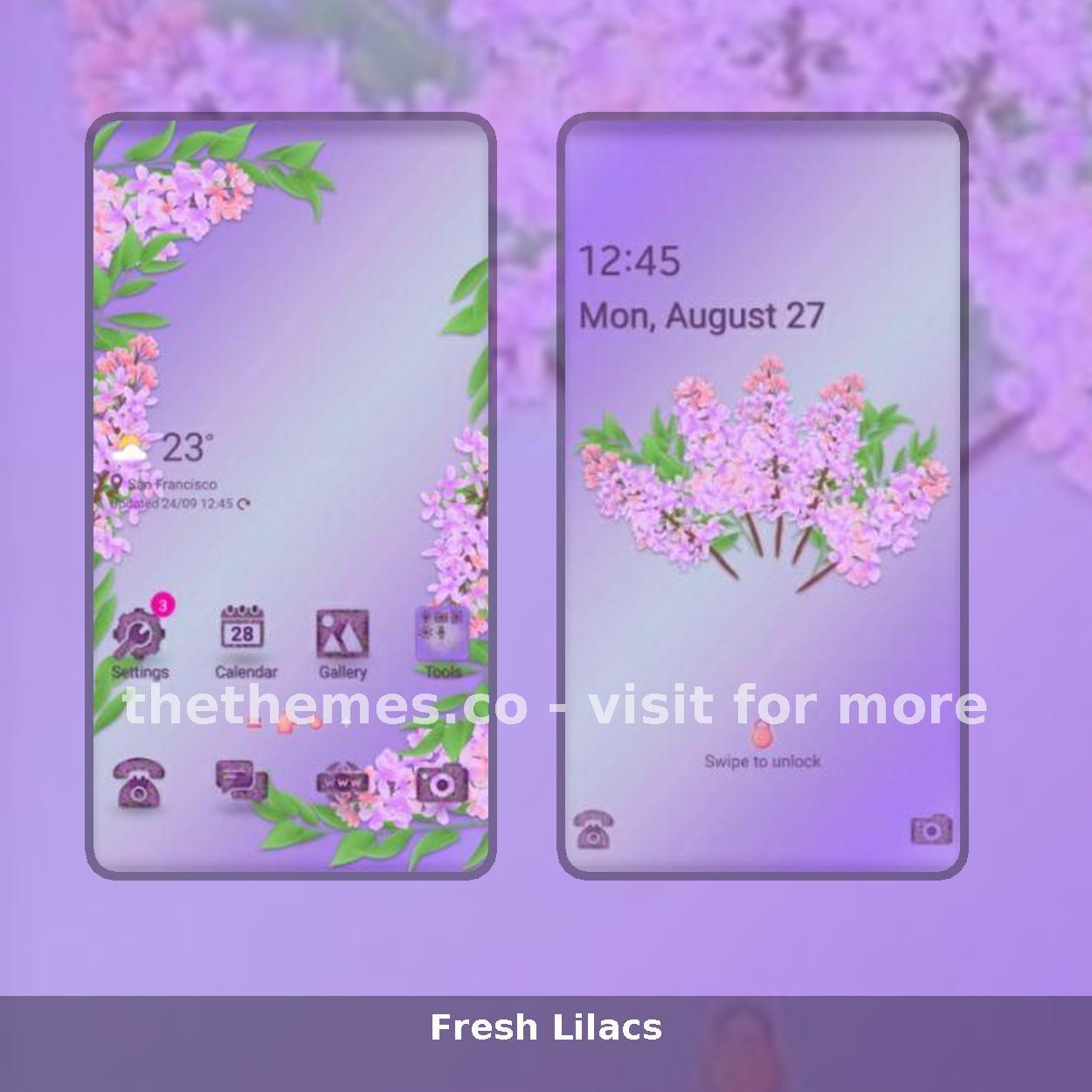 Fresh Lilacs