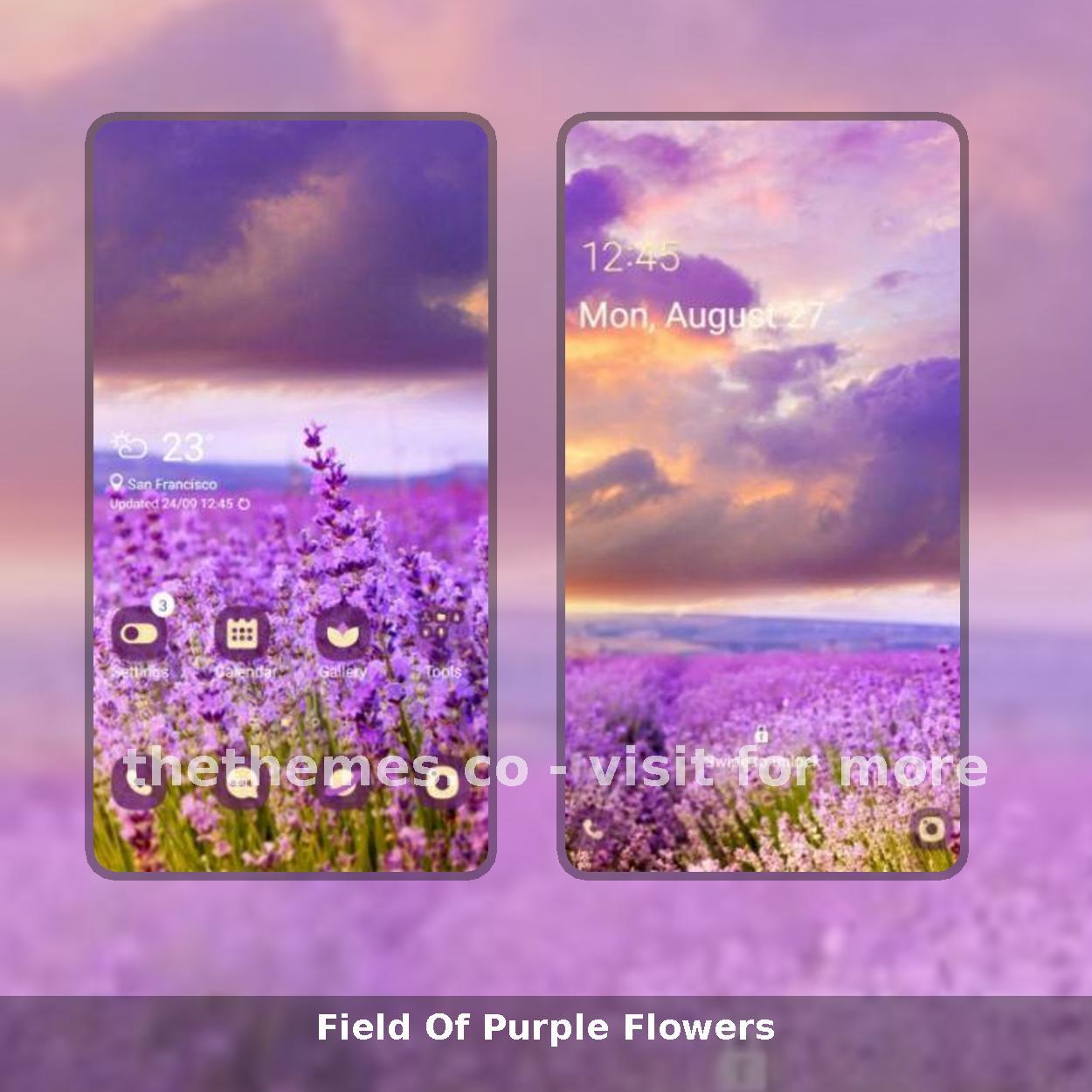 Field Of Purple Flowers