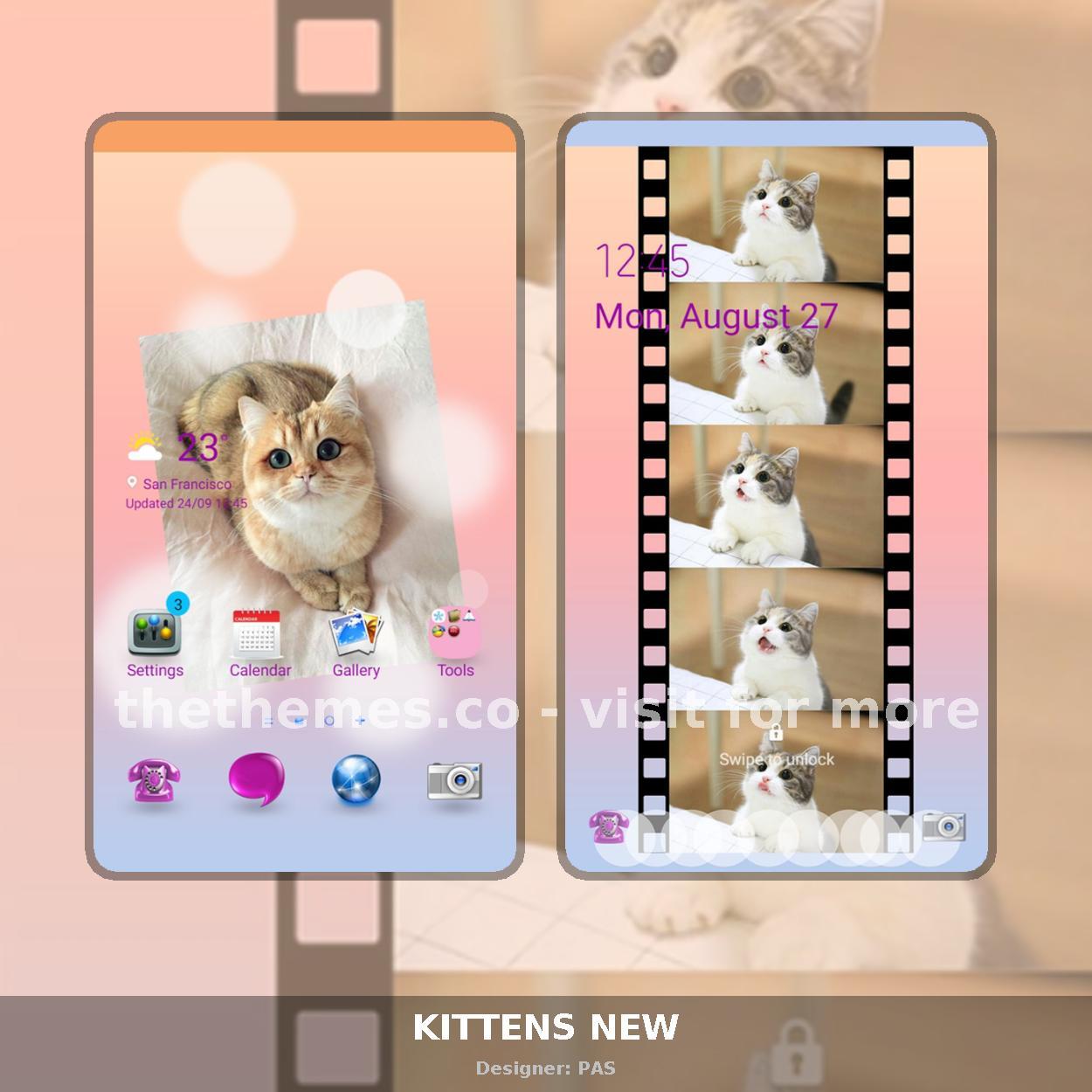 KITTENS NEW