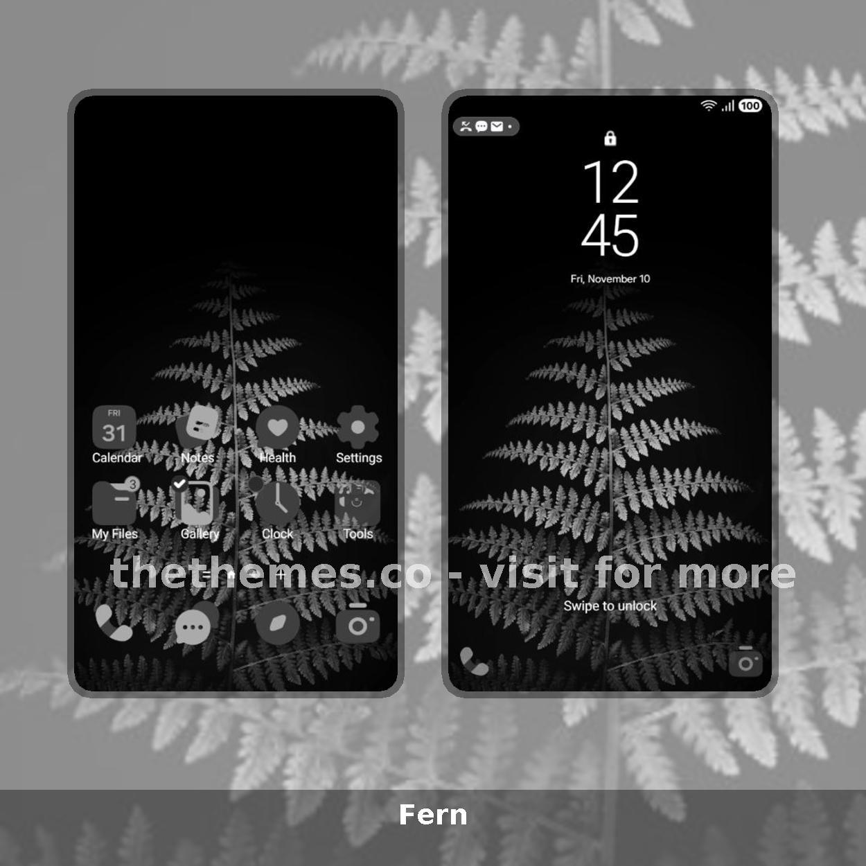 Fern