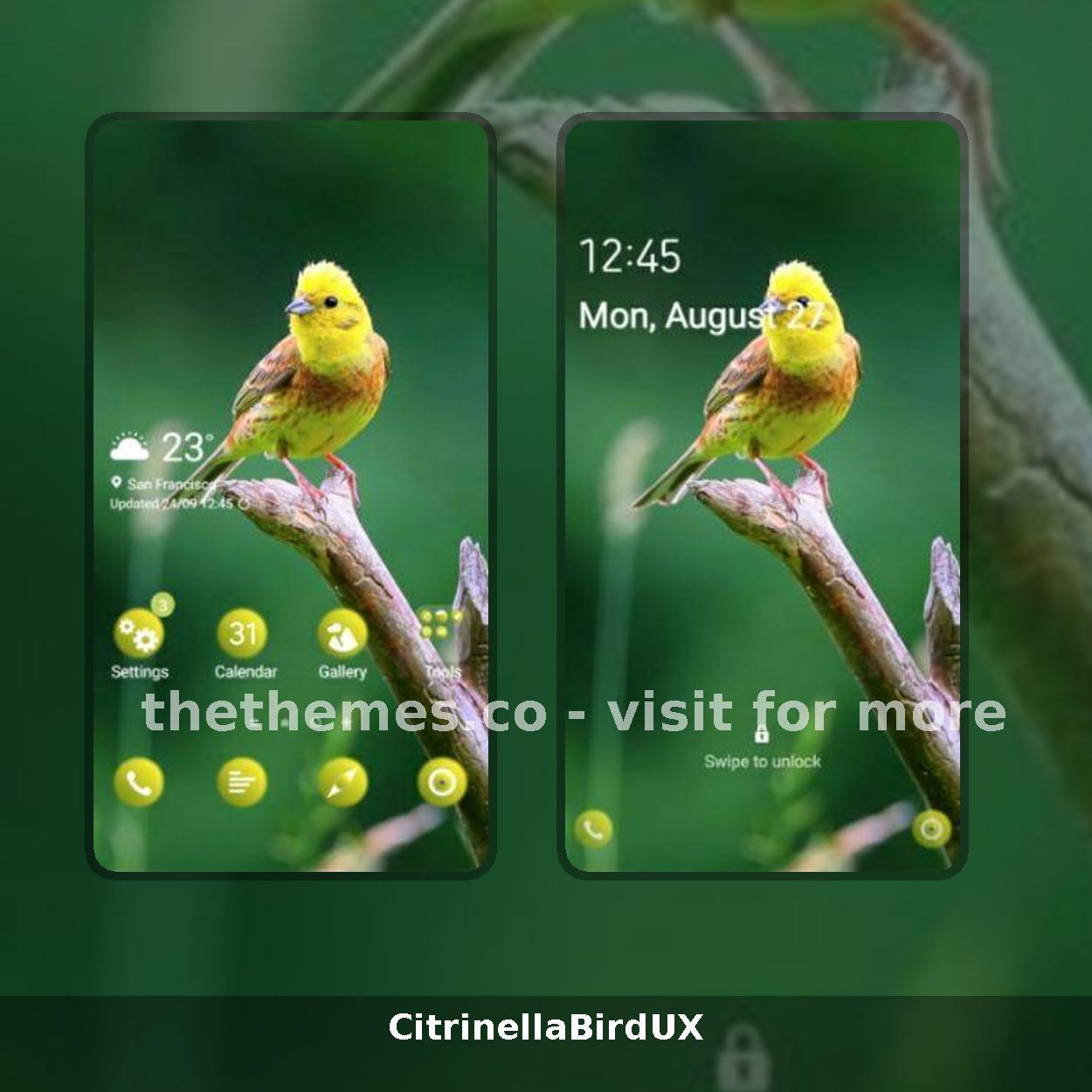 CitrinellaBirdUX