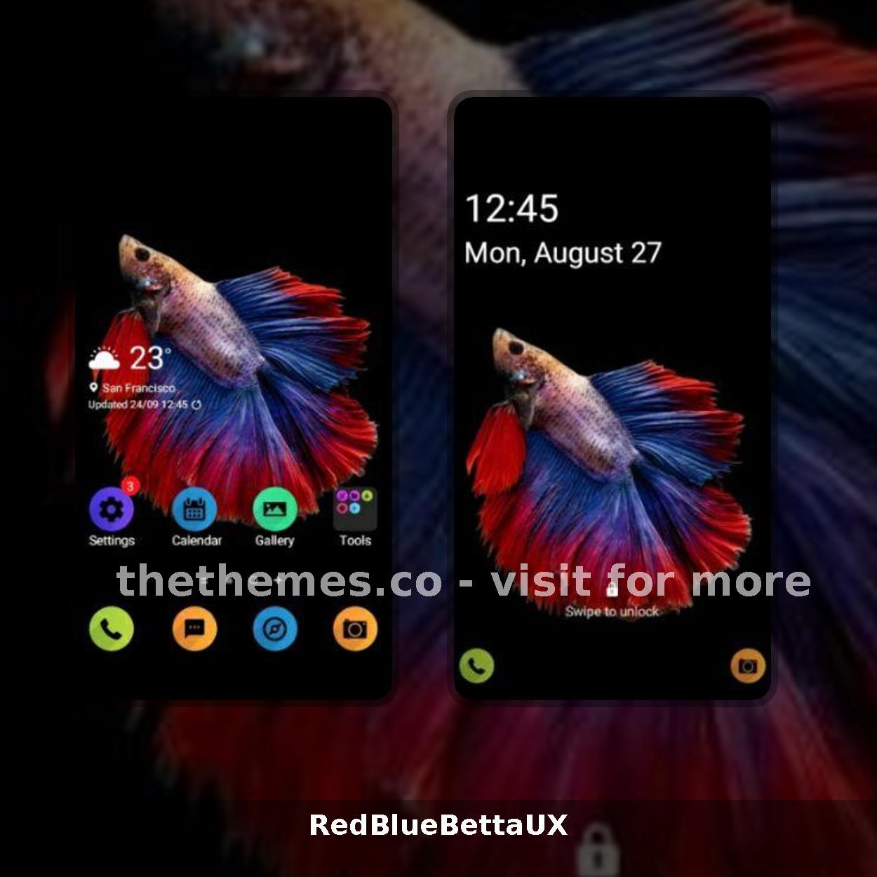 RedBlueBettaUX