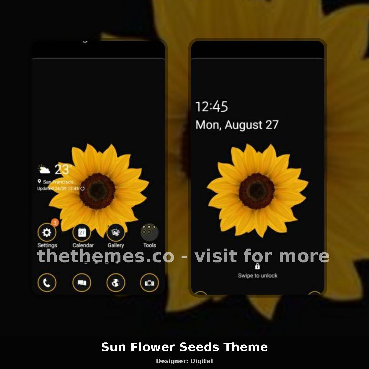 Sun Flower Seeds Theme