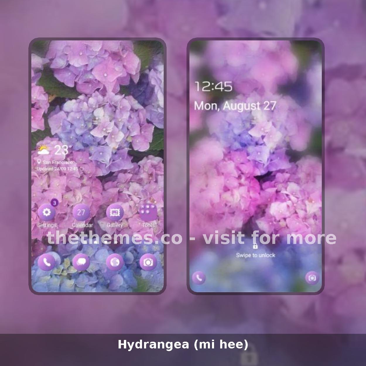 Hydrangea (mi hee)