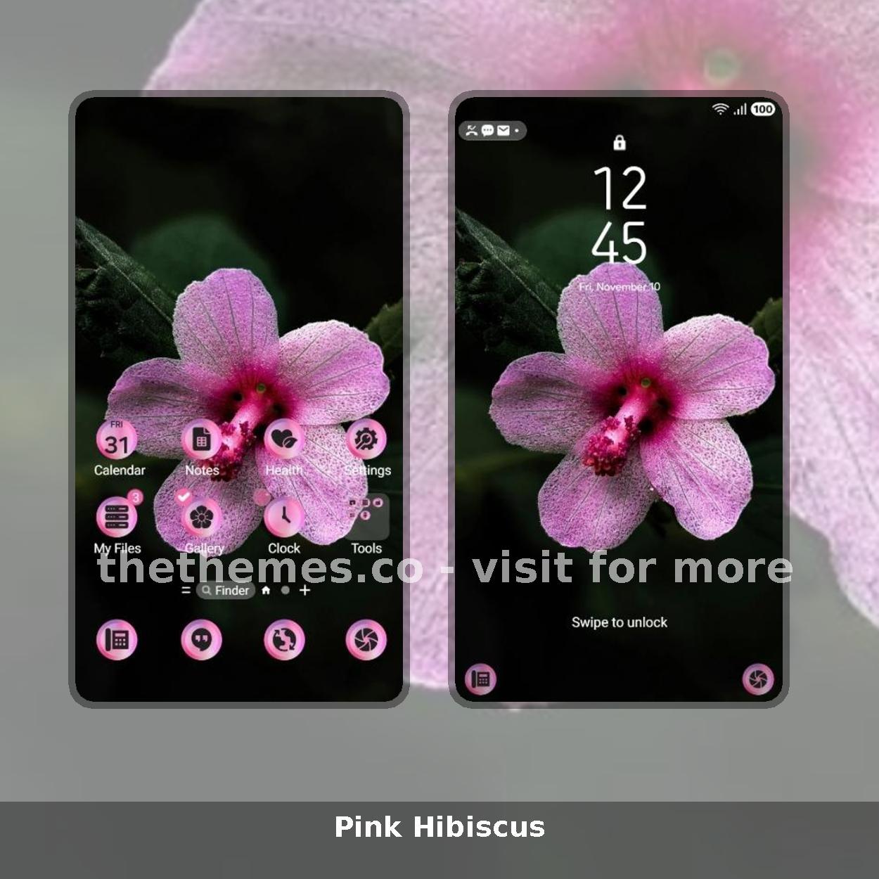 Pink Hibiscus