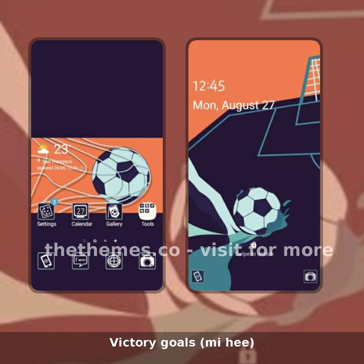 Victory goals (mi hee)