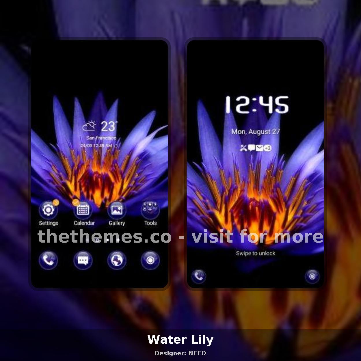 Water Lily