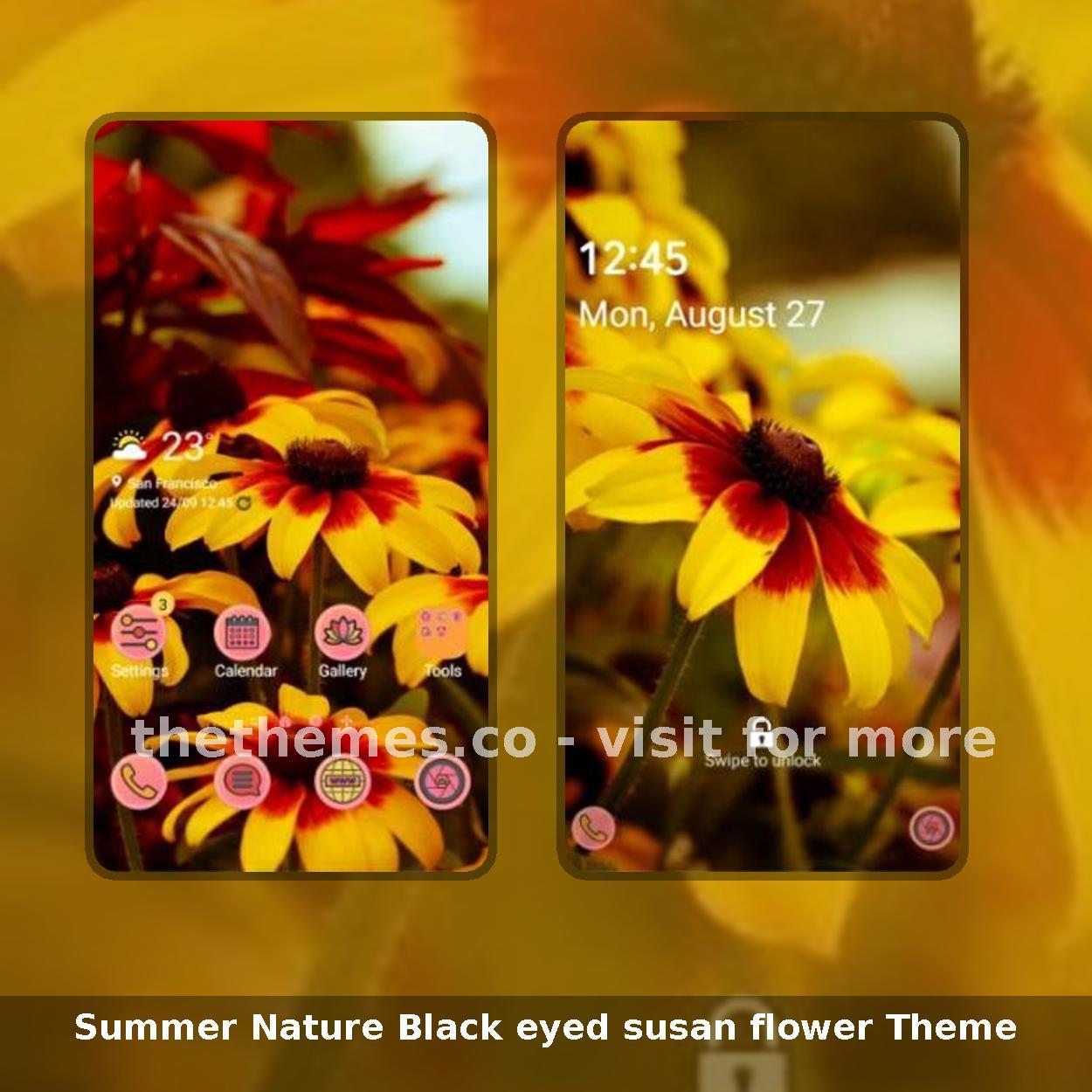 Summer Nature Black eyed susan flower Theme