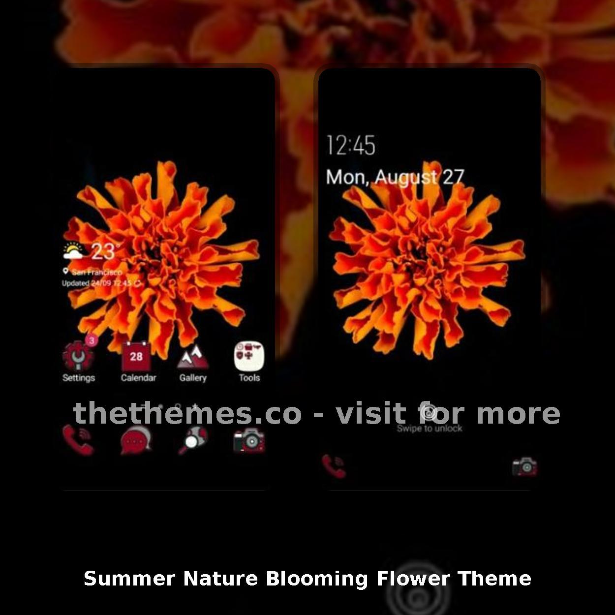 Summer Nature Blooming Flower Theme