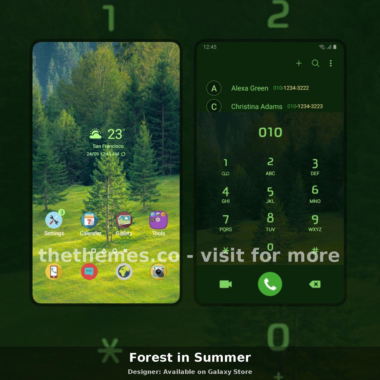 Forest in Summer