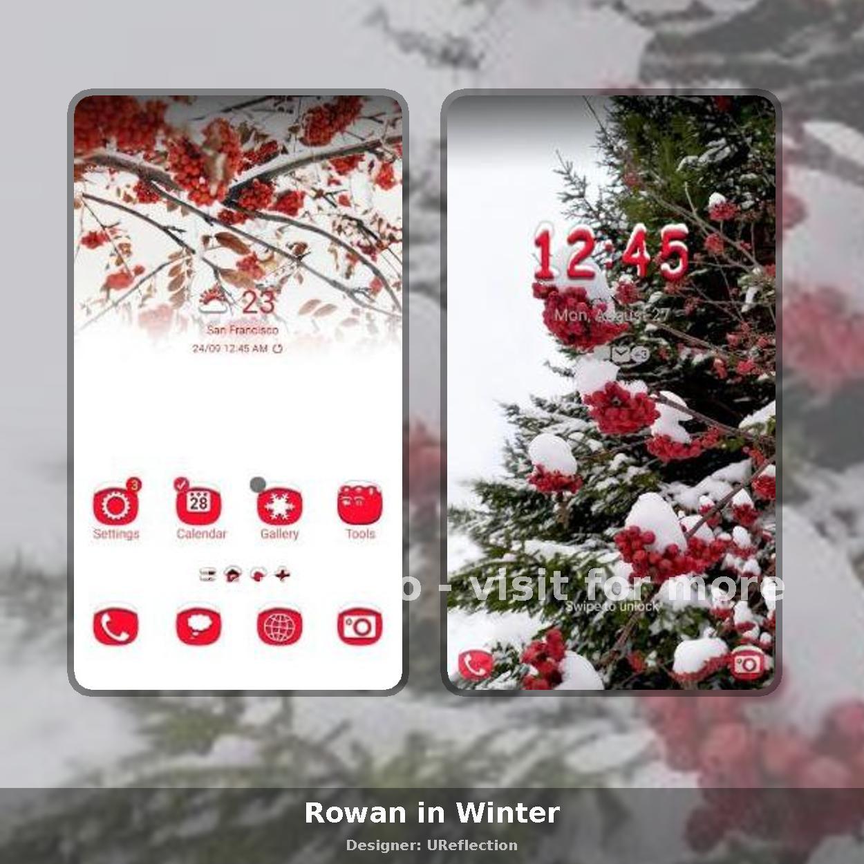 Rowan in Winter