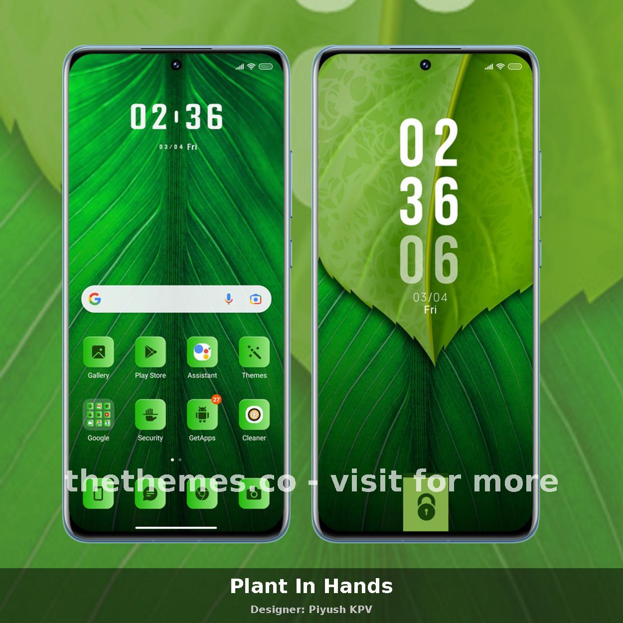 Plant In Hands
