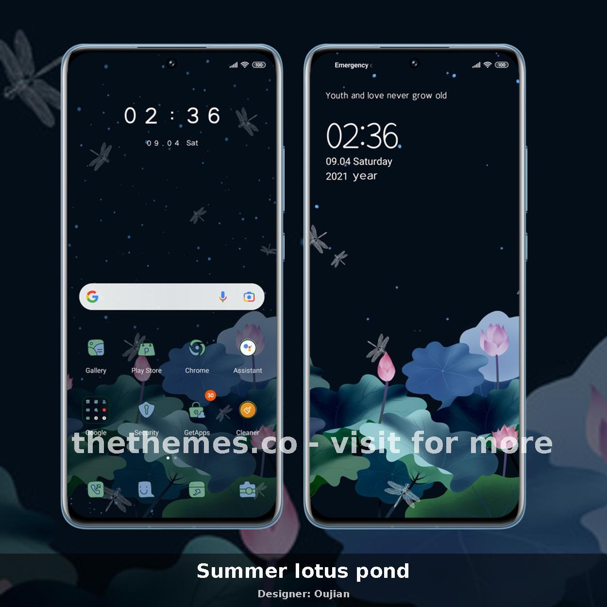 Summer lotus pond