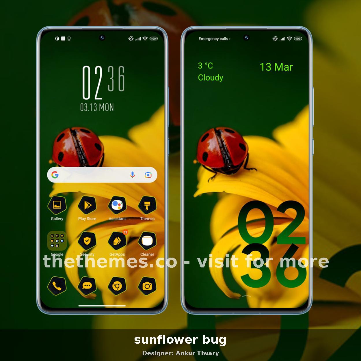 sunflower bug