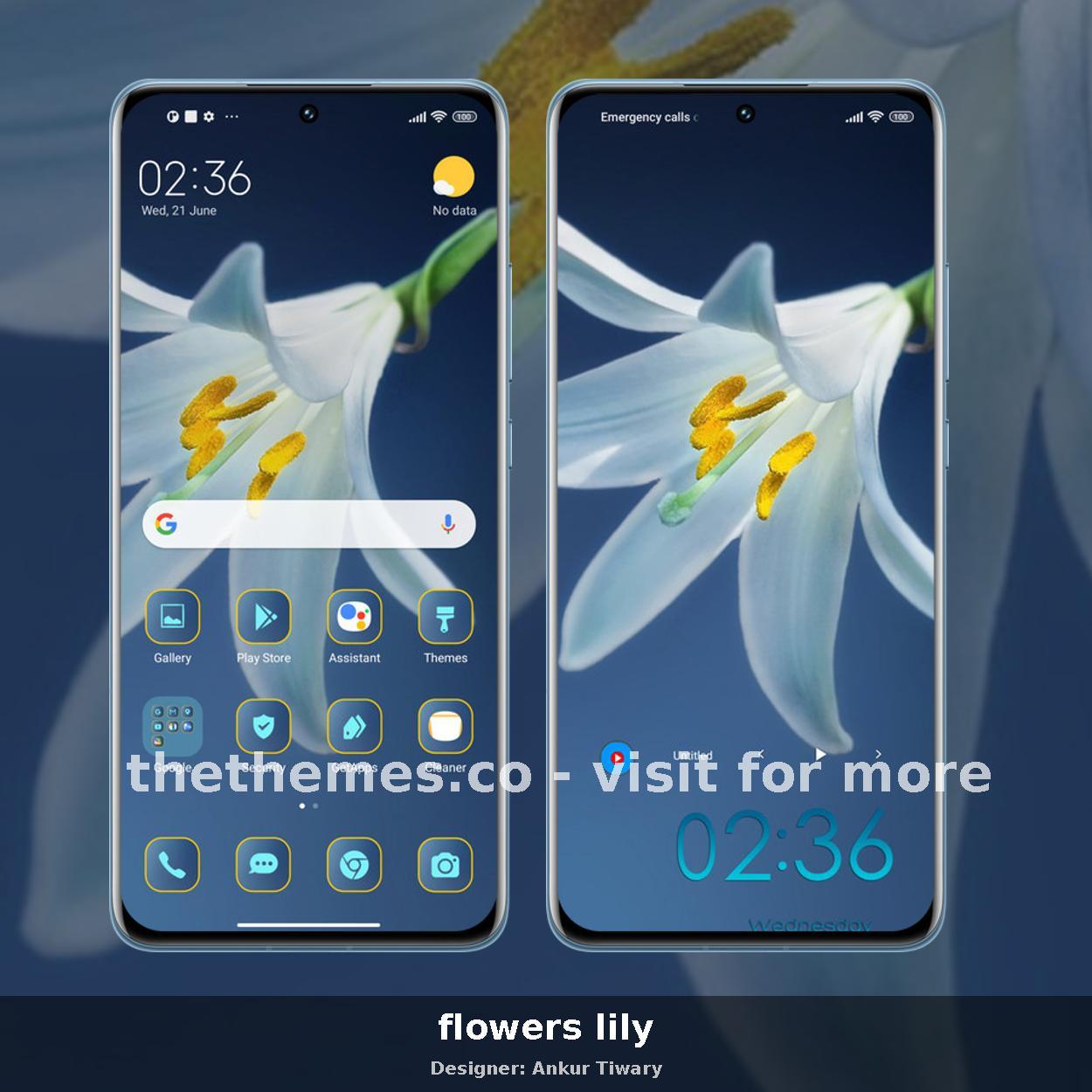 flowers lily