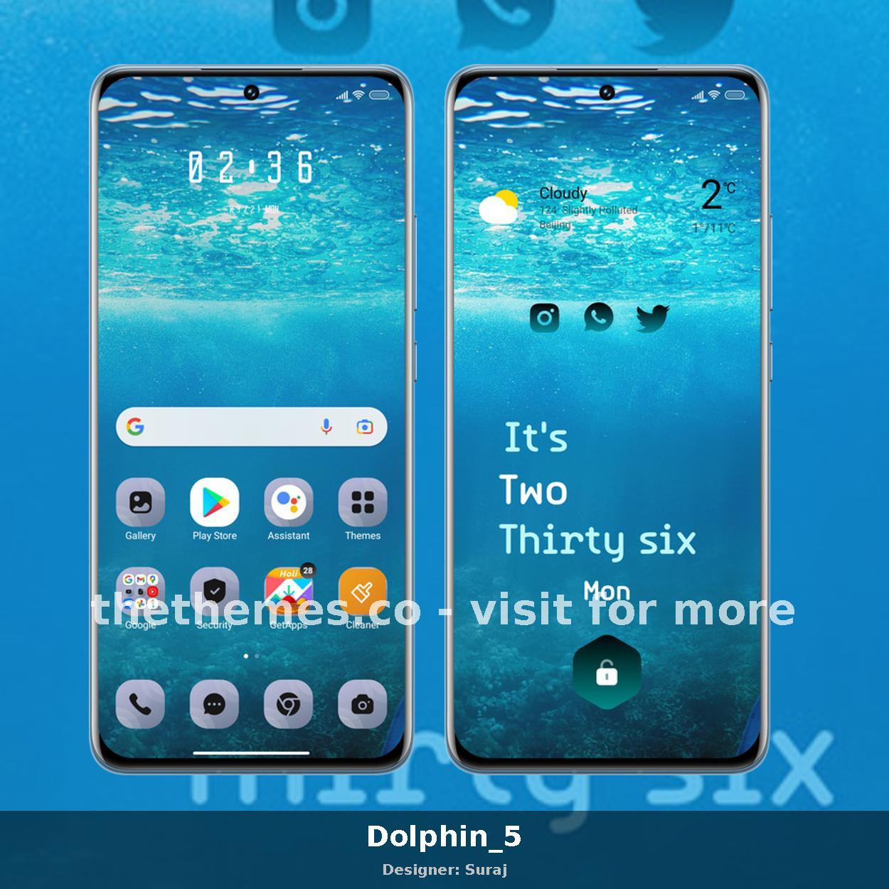 Dolphin_5