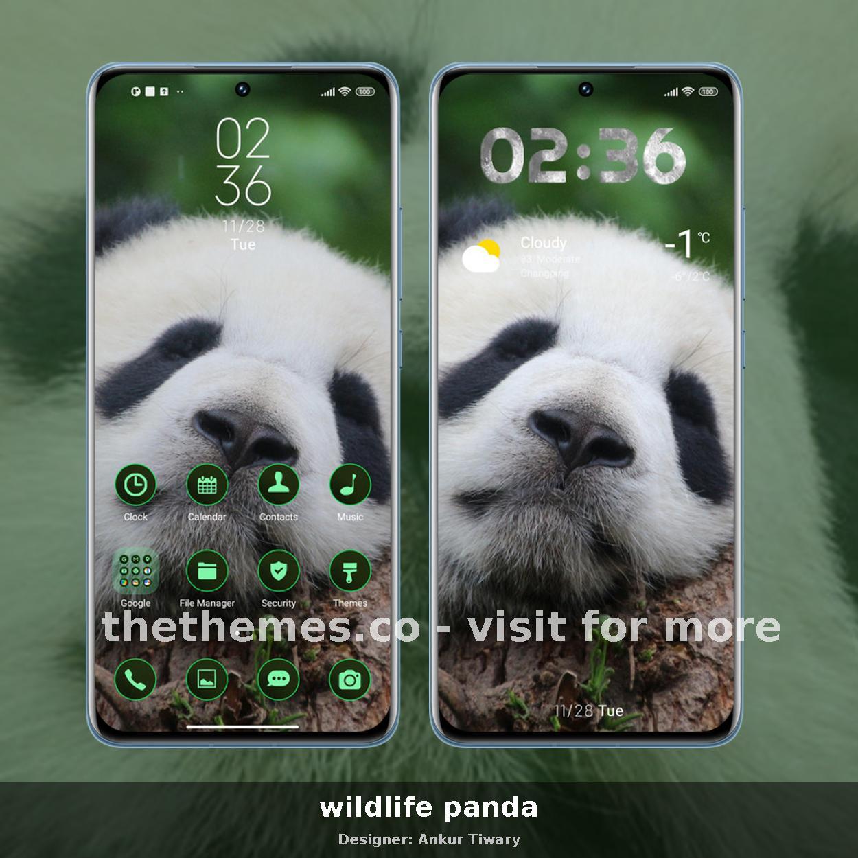 wildlife panda