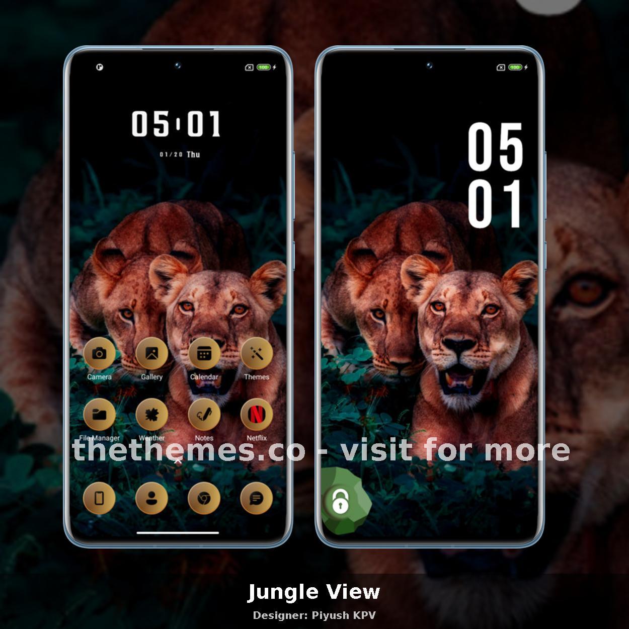 Jungle View