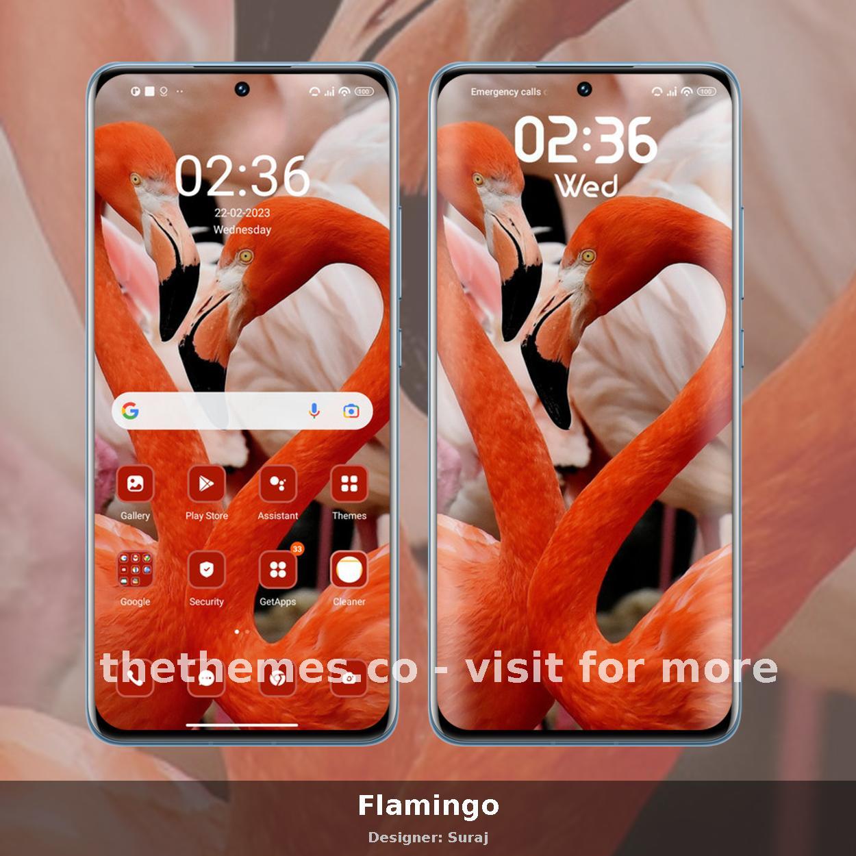Flamingo