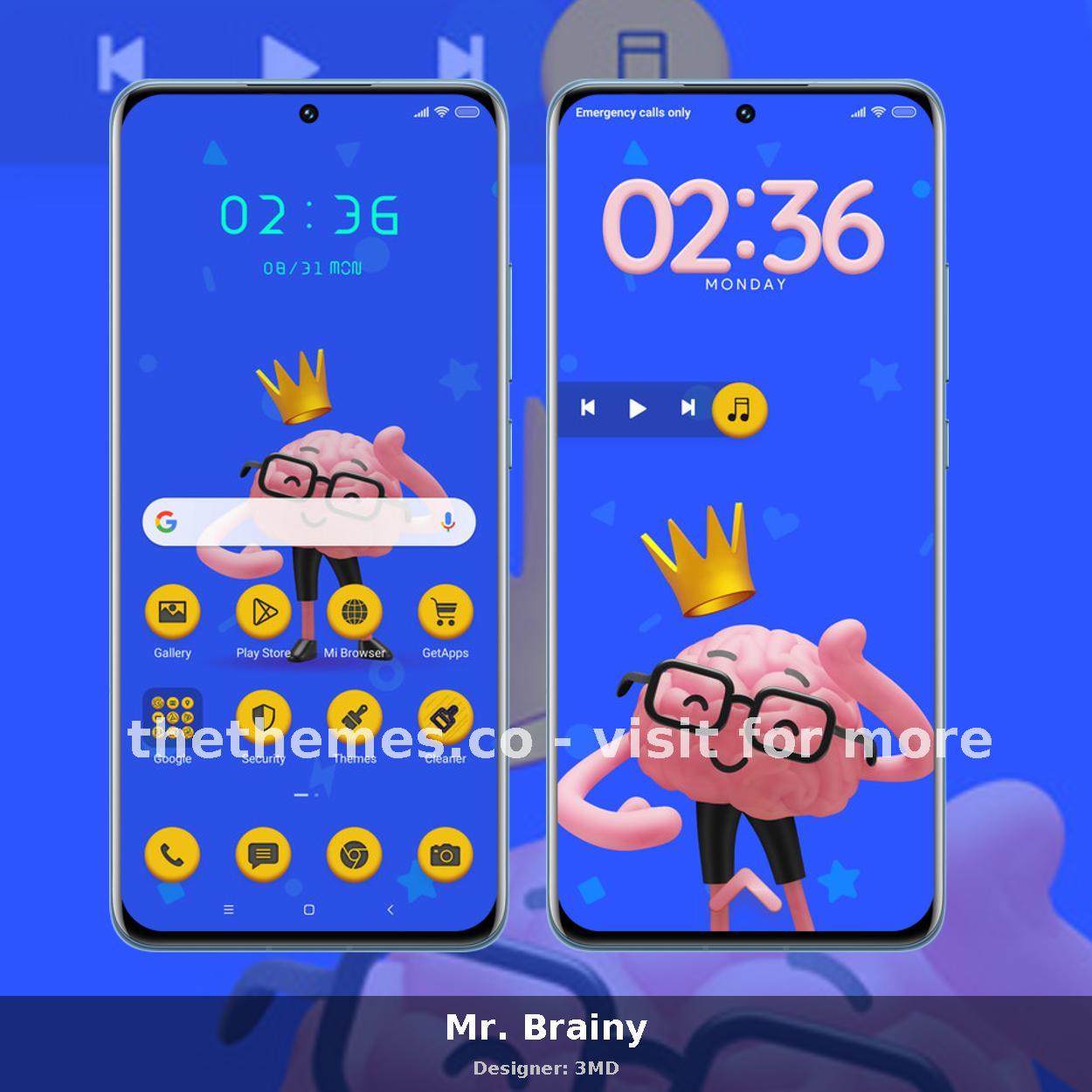 Mr. Brainy