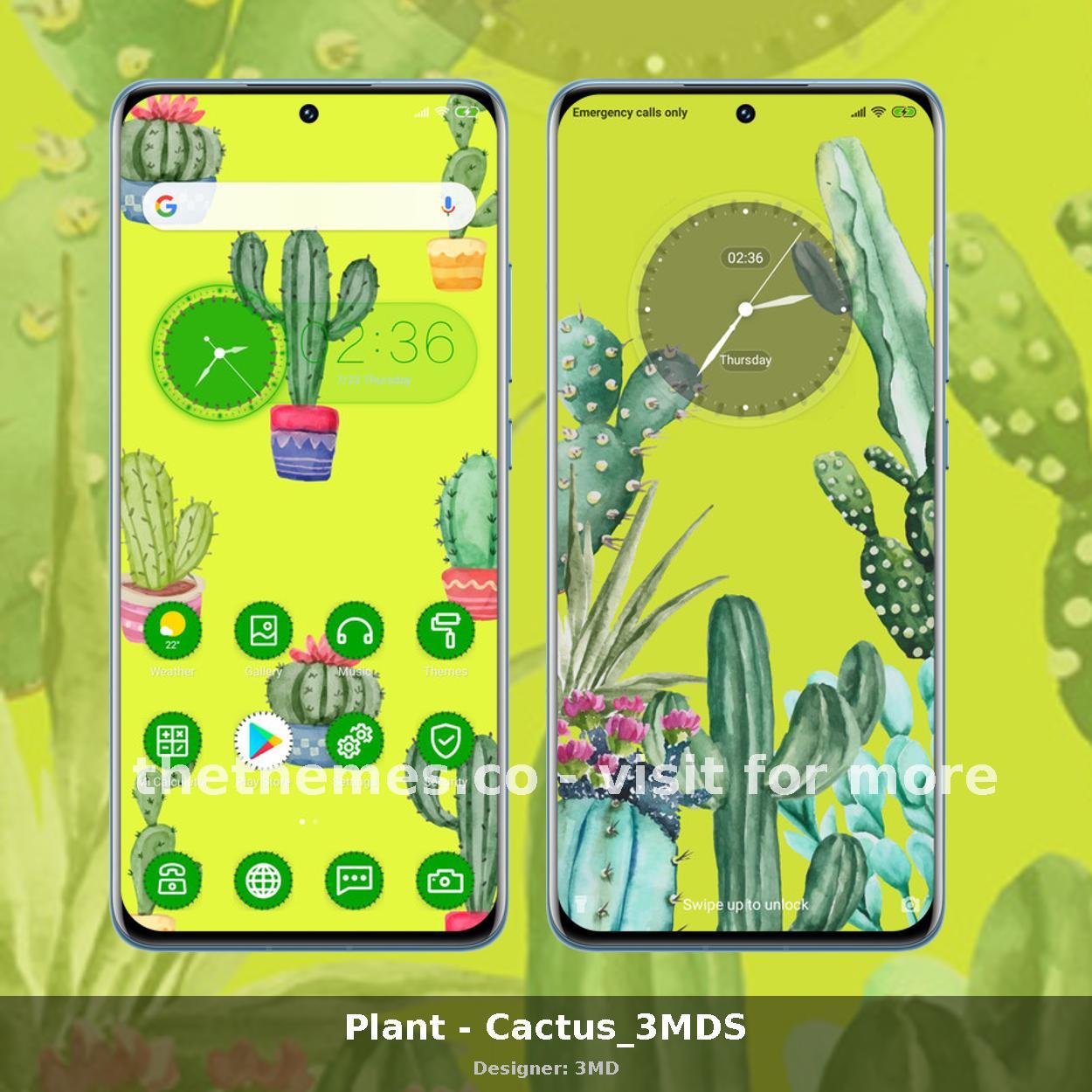 Plant - Cactus_3MDS