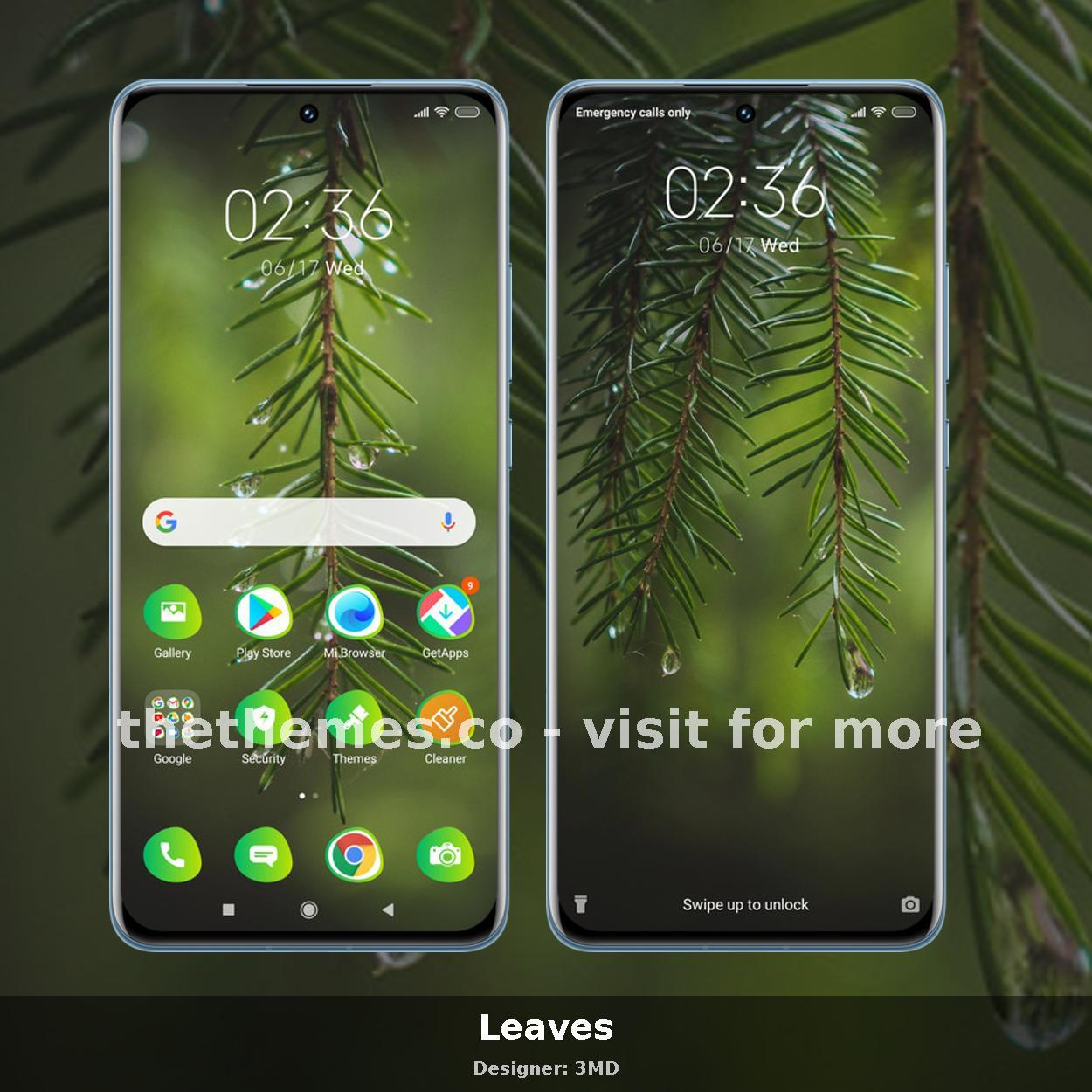 Leaves