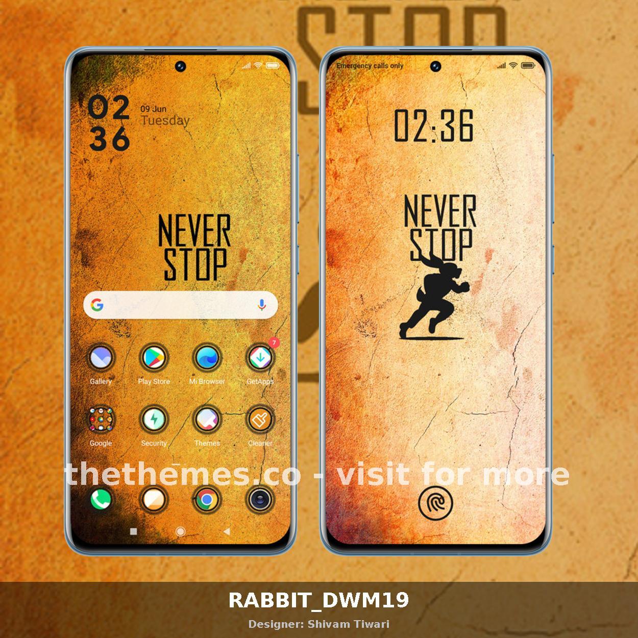 RABBIT_DWM19