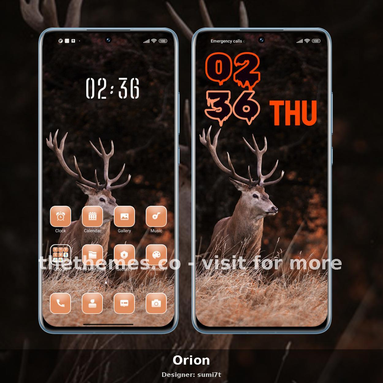 Orion