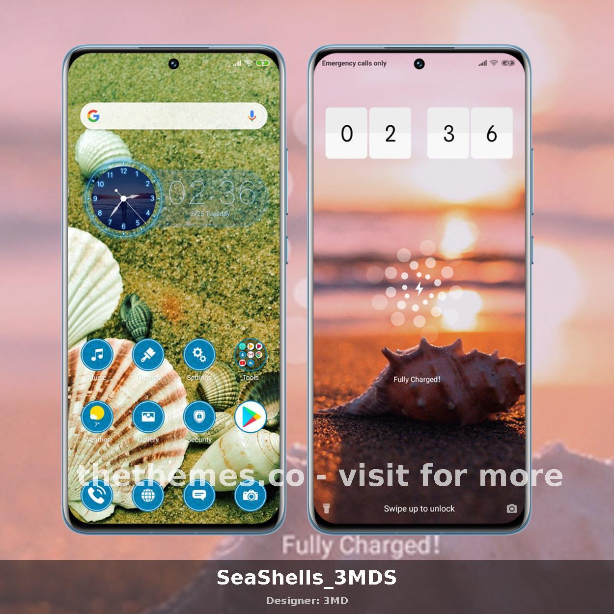 SeaShells_3MDS