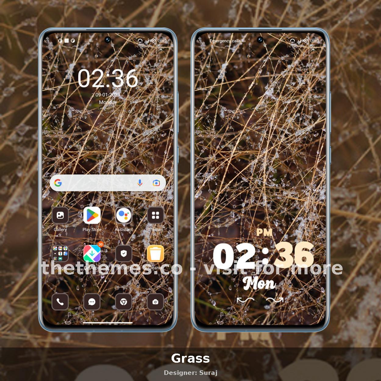 Grass