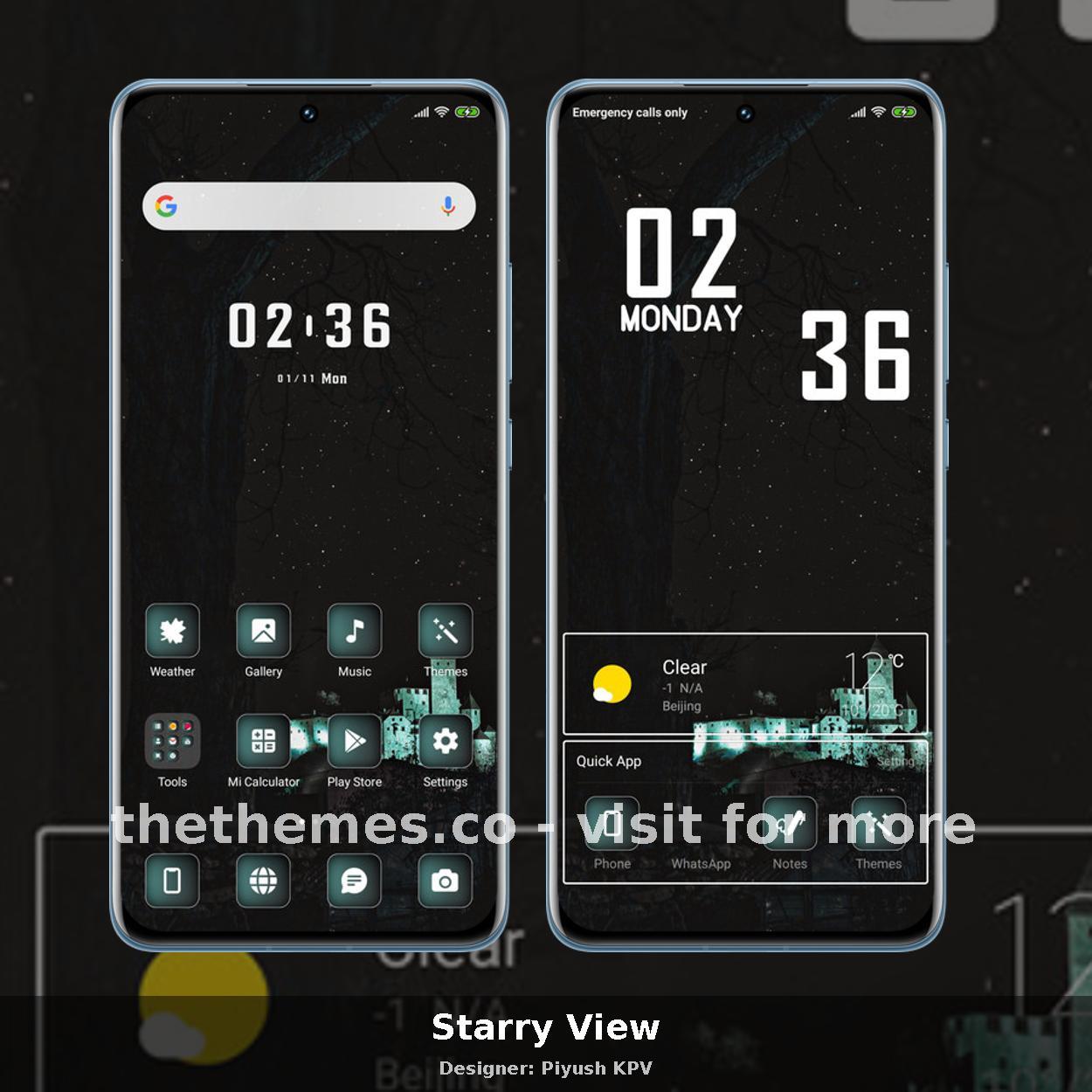 Starry View