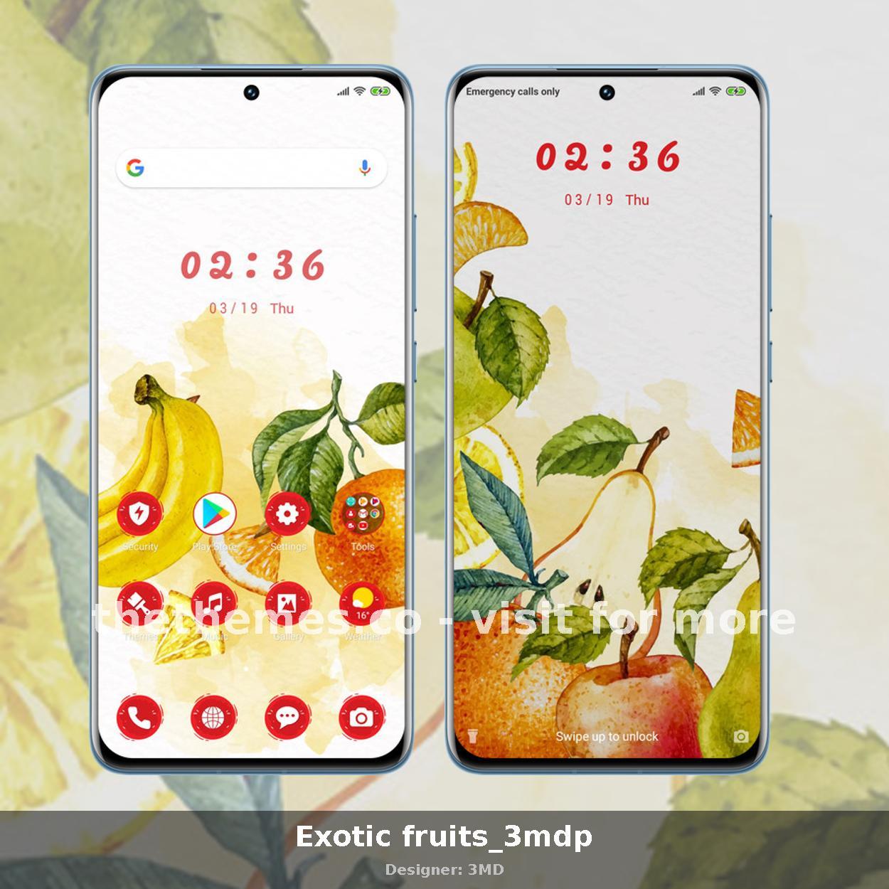 Exotic fruits_3mdp