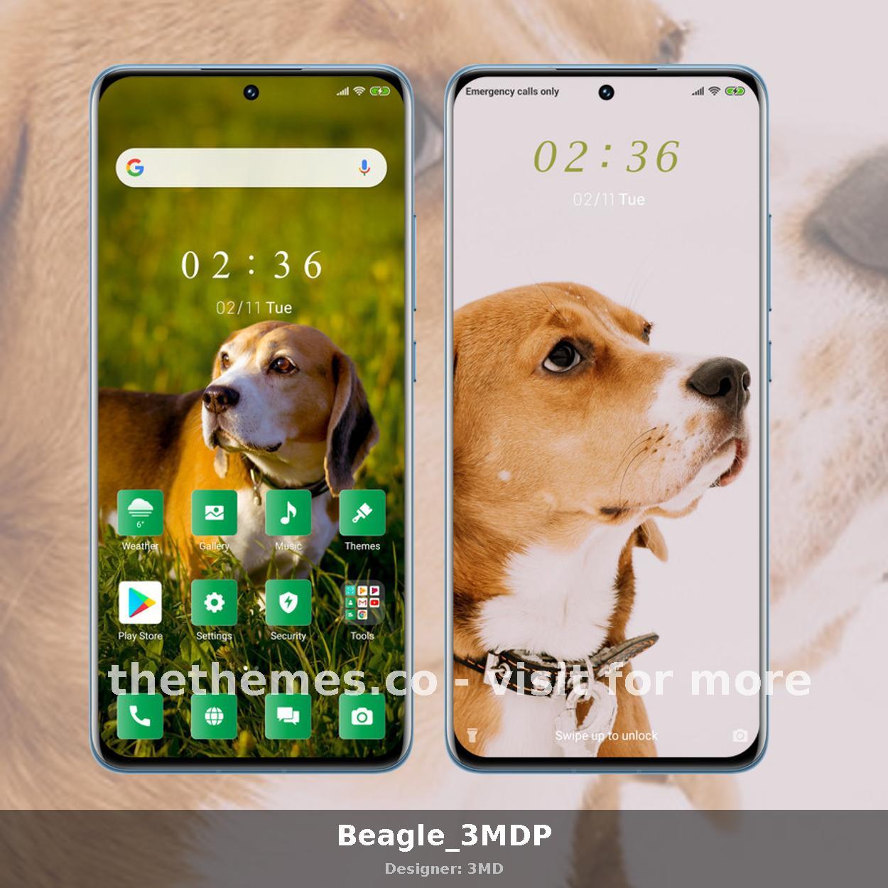 Beagle_3MDP