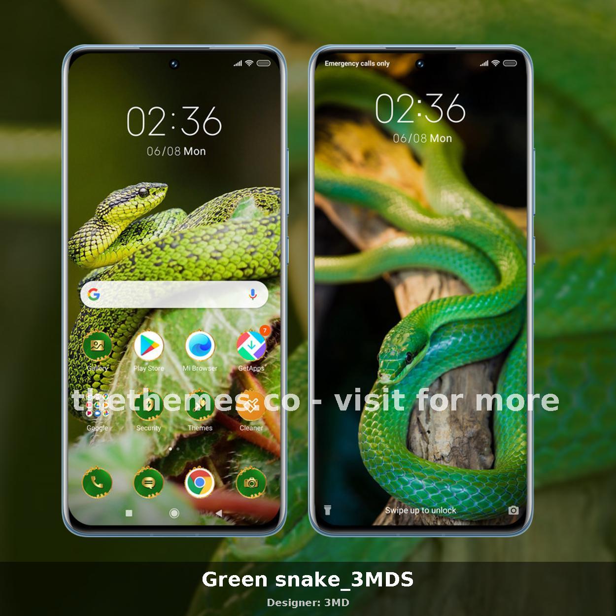 Green snake_3MDS