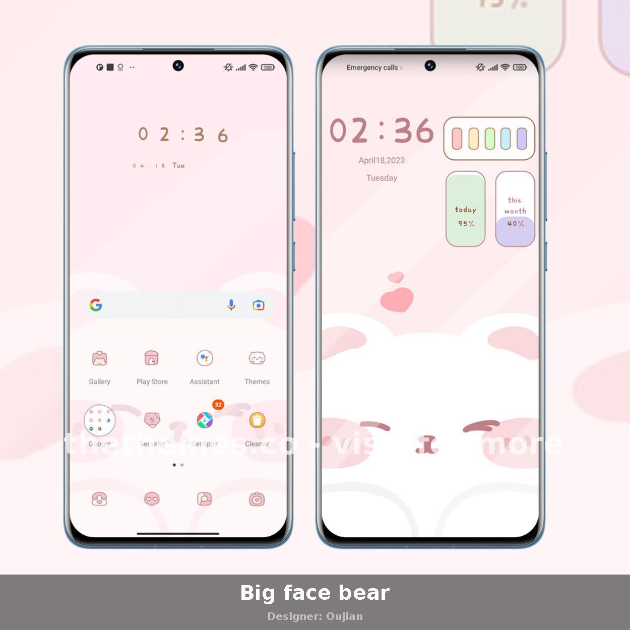 Big face bear