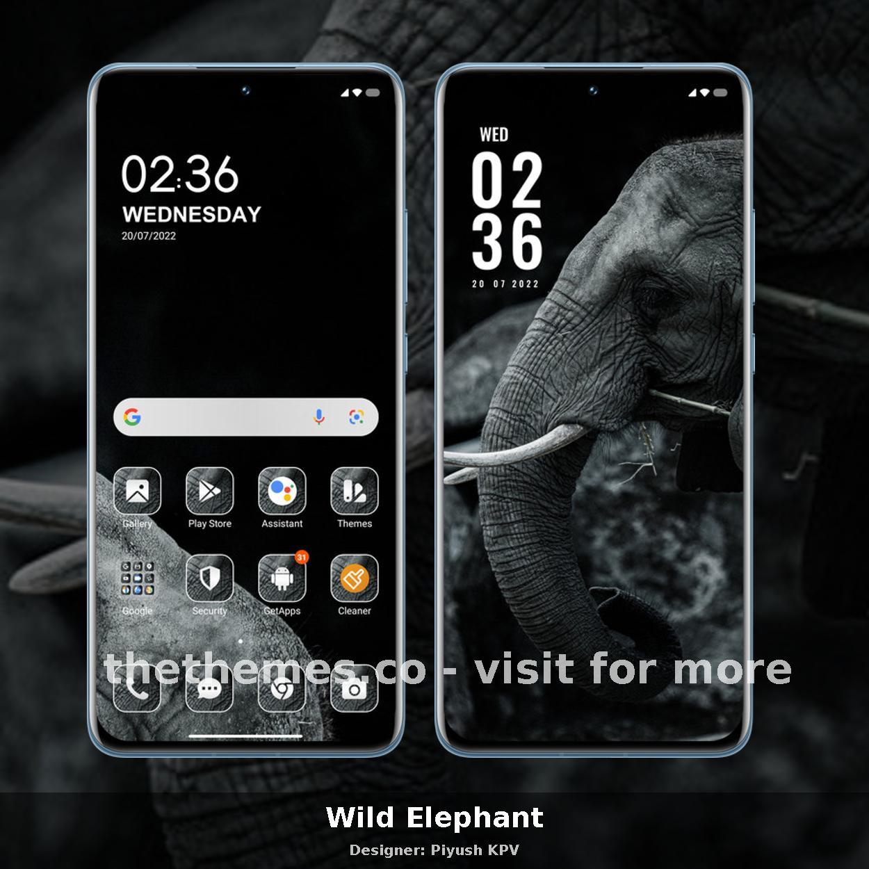Wild Elephant