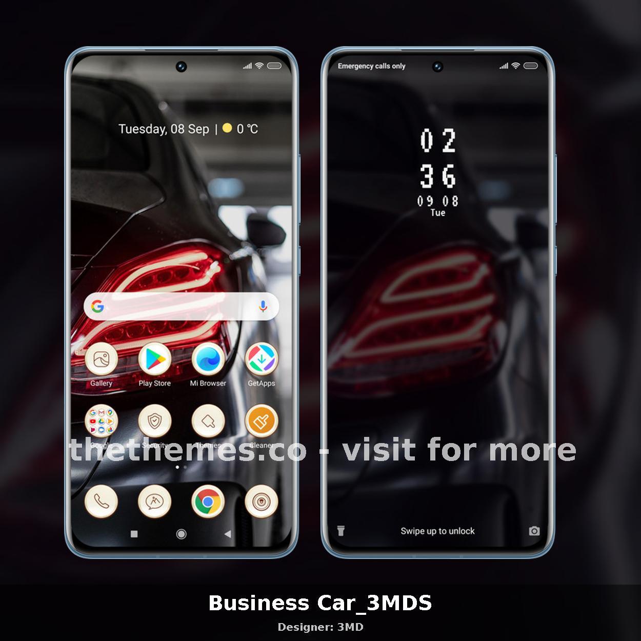 Business Car_3MDS
