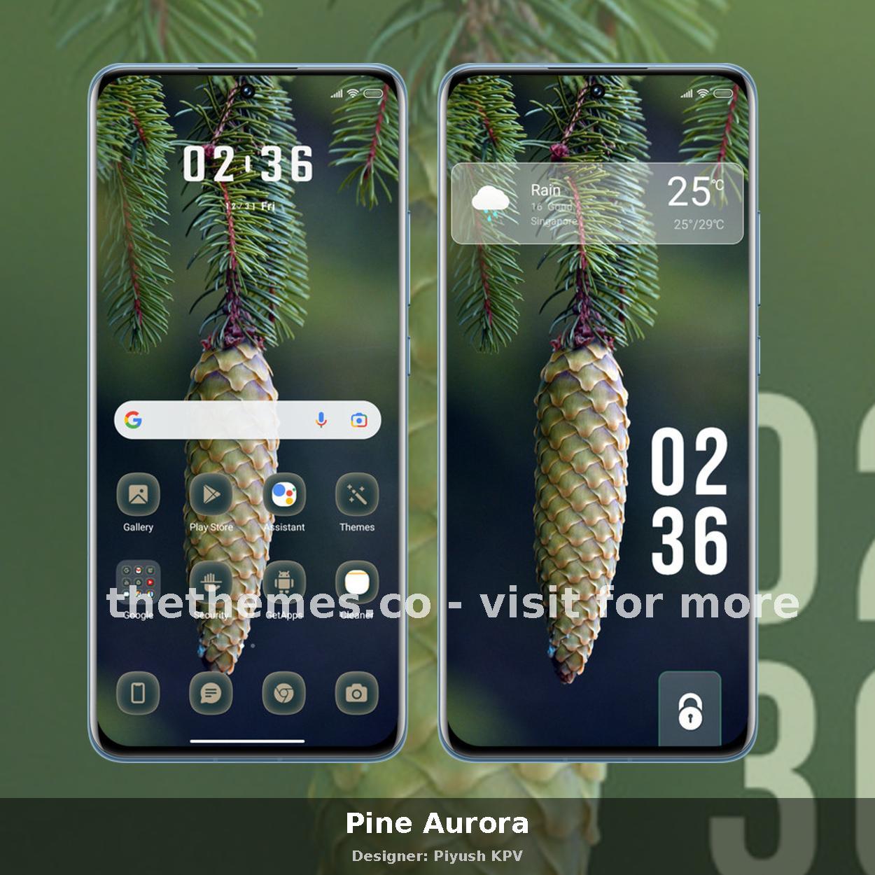 Pine Aurora