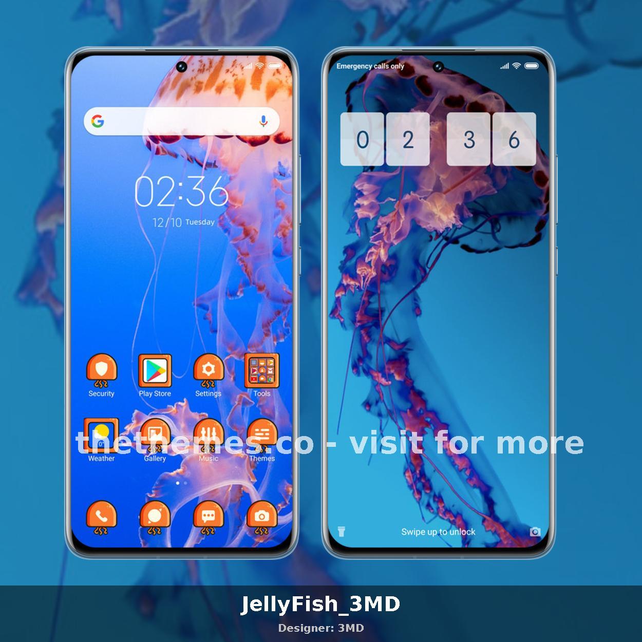 JellyFish_3MD