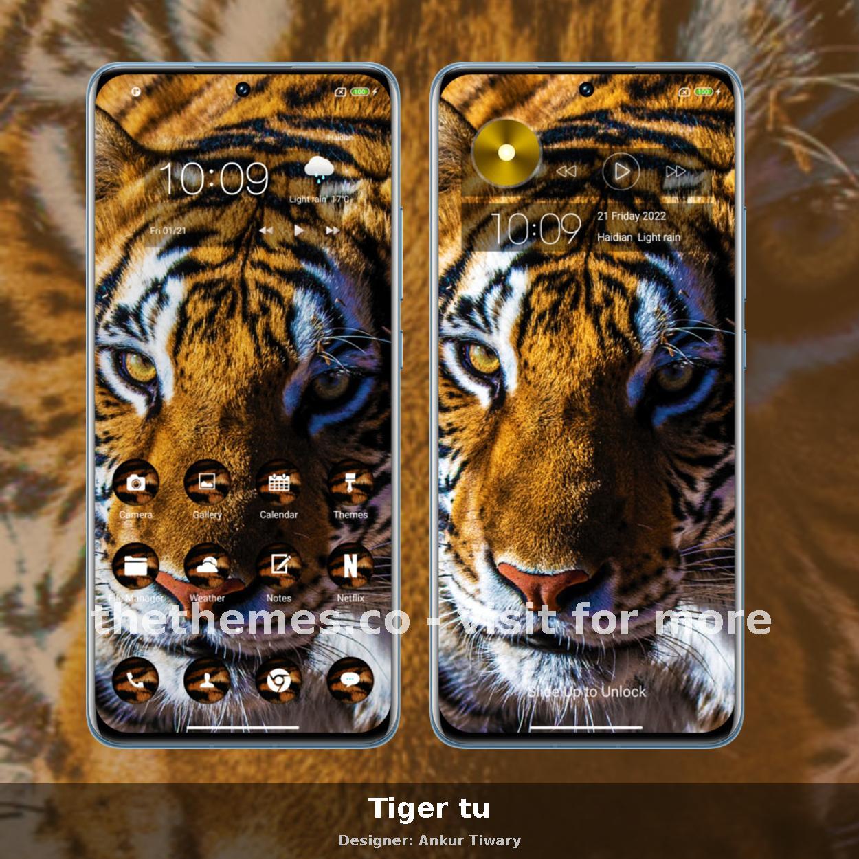 Tiger tu