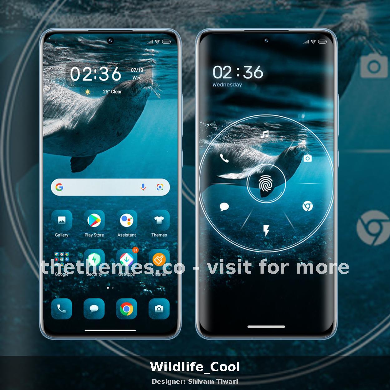 Wildlife_Cool