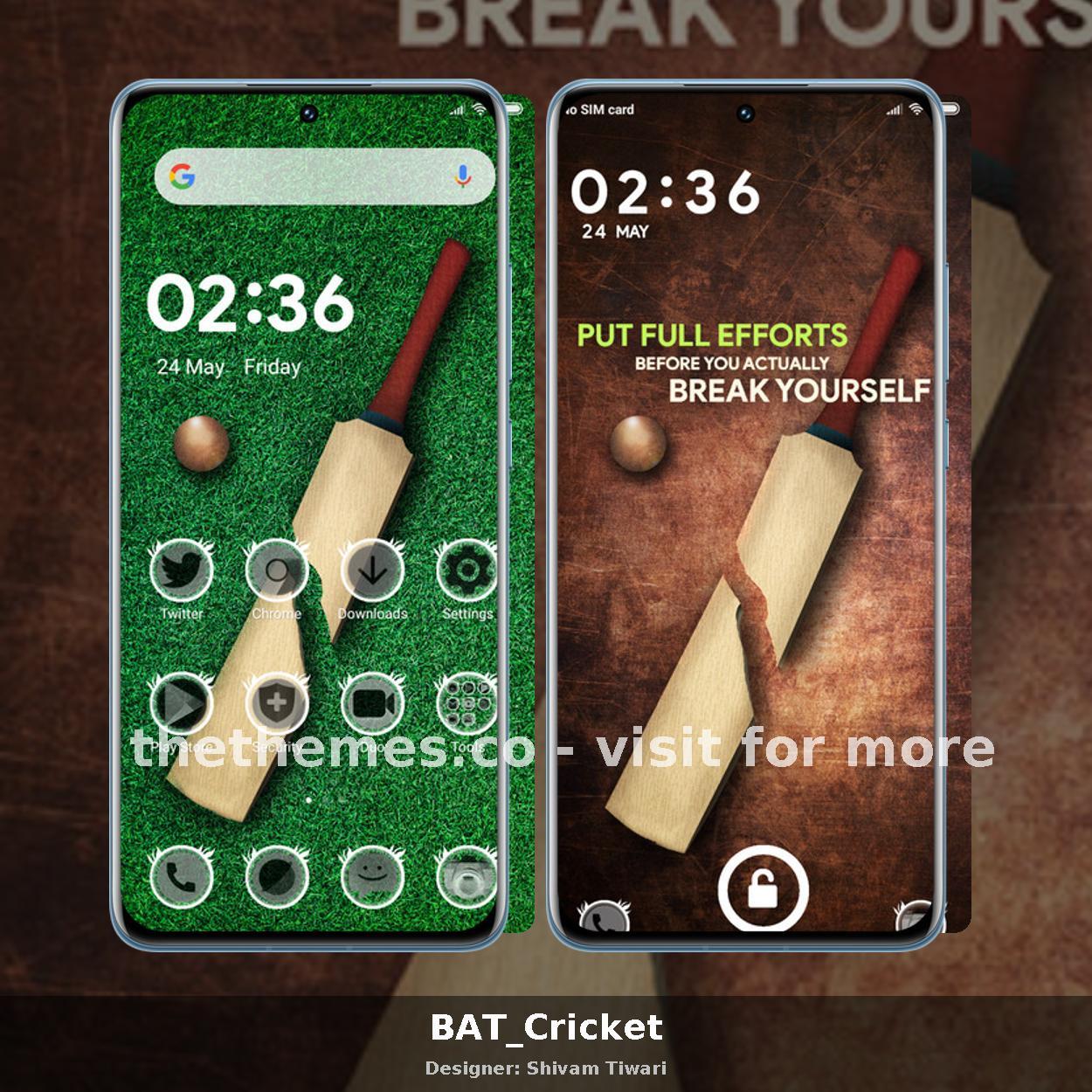 BAT_Cricket