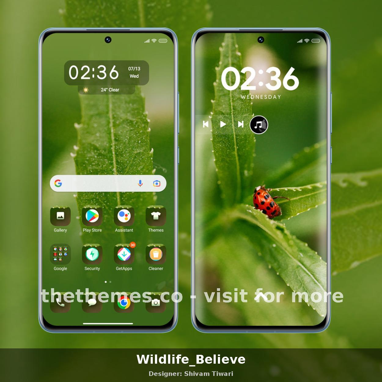 Wildlife_Believe