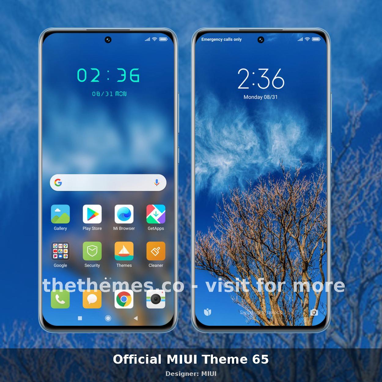 Official MIUI Theme 65