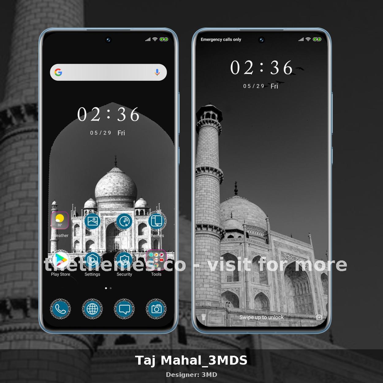 Taj Mahal_3MDS